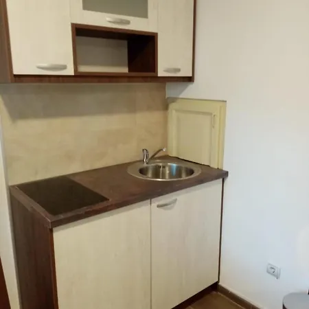 Apartment Cvet *