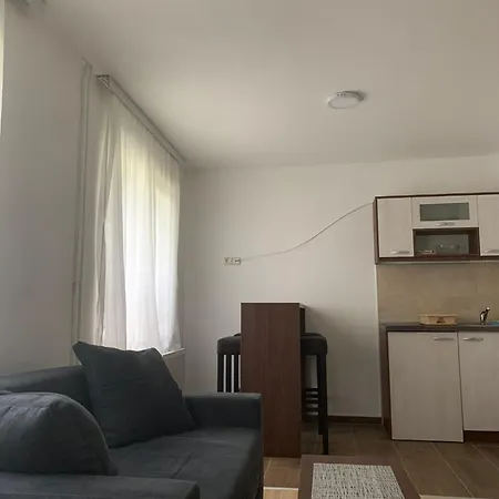 Apartment Cvet